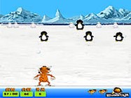 Rebel penguin island online